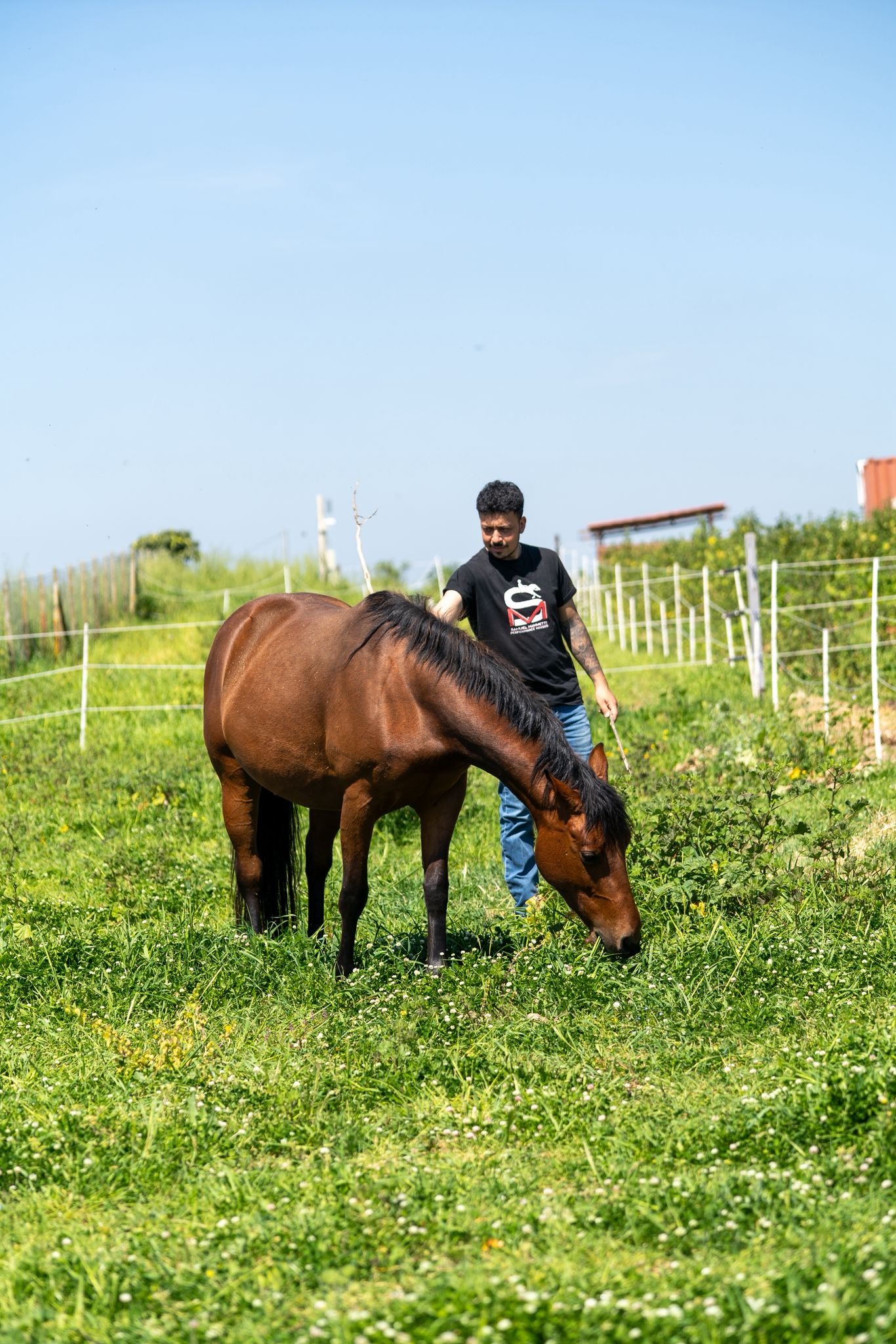 Cavallo al paddock con Samuel